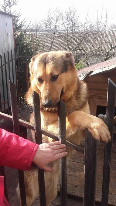 doba pl 45343 9faeb68c75c3d68a867e4f6e2765717c 550x366