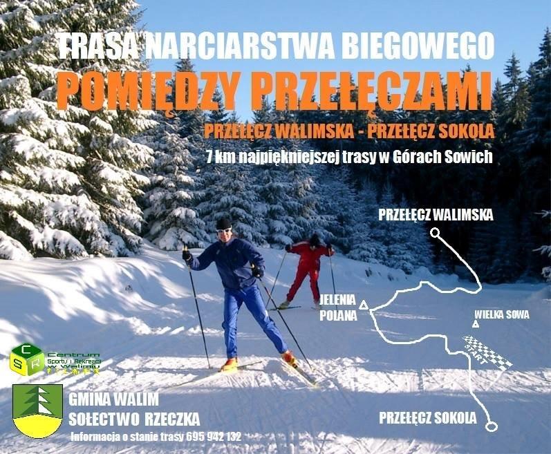 NARTY BIEGOWE plakat.jpg