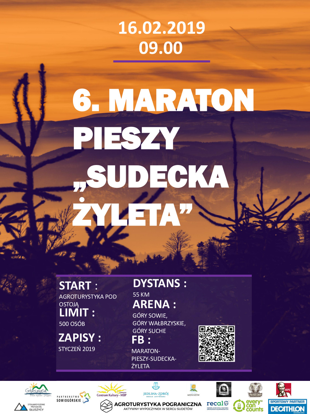 plakat zyleta.jpg