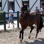 06-IMG_0008