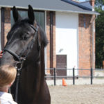 19-IMG_0039