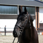 21-IMG_0043