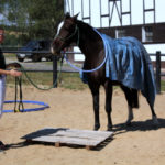 25-IMG_0063