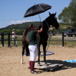 26-IMG_0066