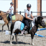 33-IMG_0079