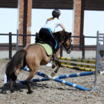 37-IMG_0088