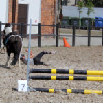 38-IMG_0090