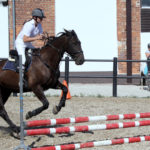 41-IMG_0096