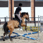 44-IMG_0102