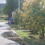DSC06197