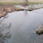 12499139_1038571016166078_1833935180_o