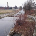 12755176_1038571006166079_1654428638_o