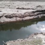 13072265_1091154827574363_865404123_o