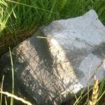 13457832_1116241098399069_1812582987_n