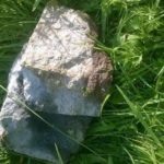 13474011_1116236335066212_375060289_n