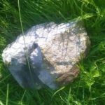 13487362_1116236331732879_1355052610_n