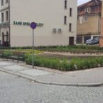 13692259_1137634189617244_286060024_o