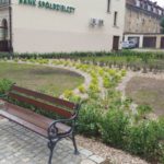 13709657_1137634256283904_2112213290_o(1)