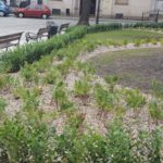 13717958_1137634172950579_399125449_o