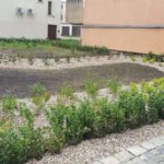 13720464_1137634162950580_774149522_o