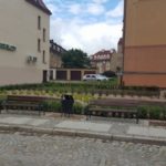 13720590_1137634309617232_1743105265_o