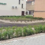 13728281_1137634179617245_1818468598_o