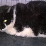 WP_20160720_11_29_29_Pro