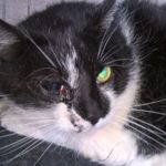 WP_20160720_11_29_36_Pro