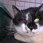 WP_20160720_11_29_41_Pro