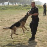 doba_pl_55988-ef270c77a72e00cb2c959cba3f76bc37_550x366