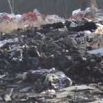 15055848_1312190382164438_5556989686006989005_n