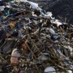 15078715_1312190422164434_3605114786870611600_n