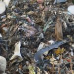 15135730_1312190292164447_4621978480410751217_n