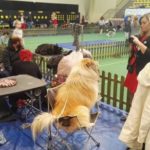 doba_pl_63134-19b671d1e6e5592e5510f3e431dd0e7b_550x366