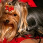 doba_pl_63142-cecd7b84a174d333f4877068d5655bea_550x366