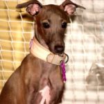 doba_pl_63143-fe85236a5b2fb119e2ab95fd2b33e2a5_550x366