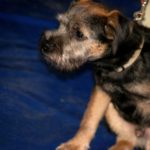 doba_pl_63144-32d44eb1c9bdcda1d8cfad54be39af33_550x366