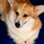 doba_pl_63146-10e8eac5bc07baca632ec9788c5de67a_550x366