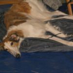 doba_pl_63147-c44a123a4fd5713ac16128c2993d1279_550x366