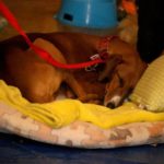 doba_pl_63148-f55cf796113277fe928765e301c117bb_550x366