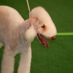 doba_pl_63152-82bd33029ed5efbcfc011e2a3ce4b1b2_550x366