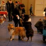 doba_pl_63153-ef225125a614cb24f9dc5c1ef7162871_550x366