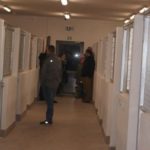 doba_pl_65439-a5f34cd938324eae742976c0b9eaba5b_550x366