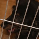 doba_pl_65440-a2317cdc1829b1ee9c2158b39785870b_550x366