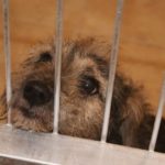 doba_pl_65441-24b528f54d612bd226370c584878e2d3_550x366