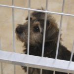 doba_pl_65442-fff00732b26b2a53bced16830fa78c6d_550x366