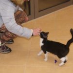 doba_pl_65444-a4b78c46e4a1510c1b93dfbb7b1d7e8d_550x366