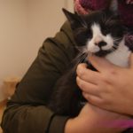 doba_pl_65445-2583c31a5f59b7671c904abc5a051082_550x366