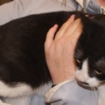 doba_pl_65447-3146134a091c4eed19945936f4c1d5ff_550x366