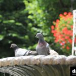 IMG_0144